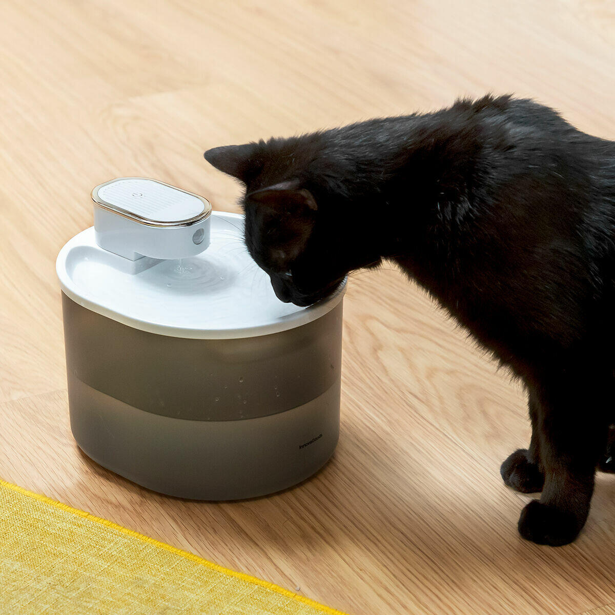 🐱 FUENTE PARA GATOS RECARGABLE CON SENSOR REFOGET INNOVAGOODS