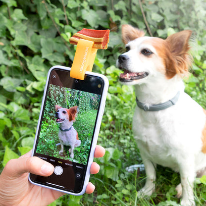 🐾 CLIP DE SELFIES PARA MASCOTAS PEFIE INNOVAGOODS