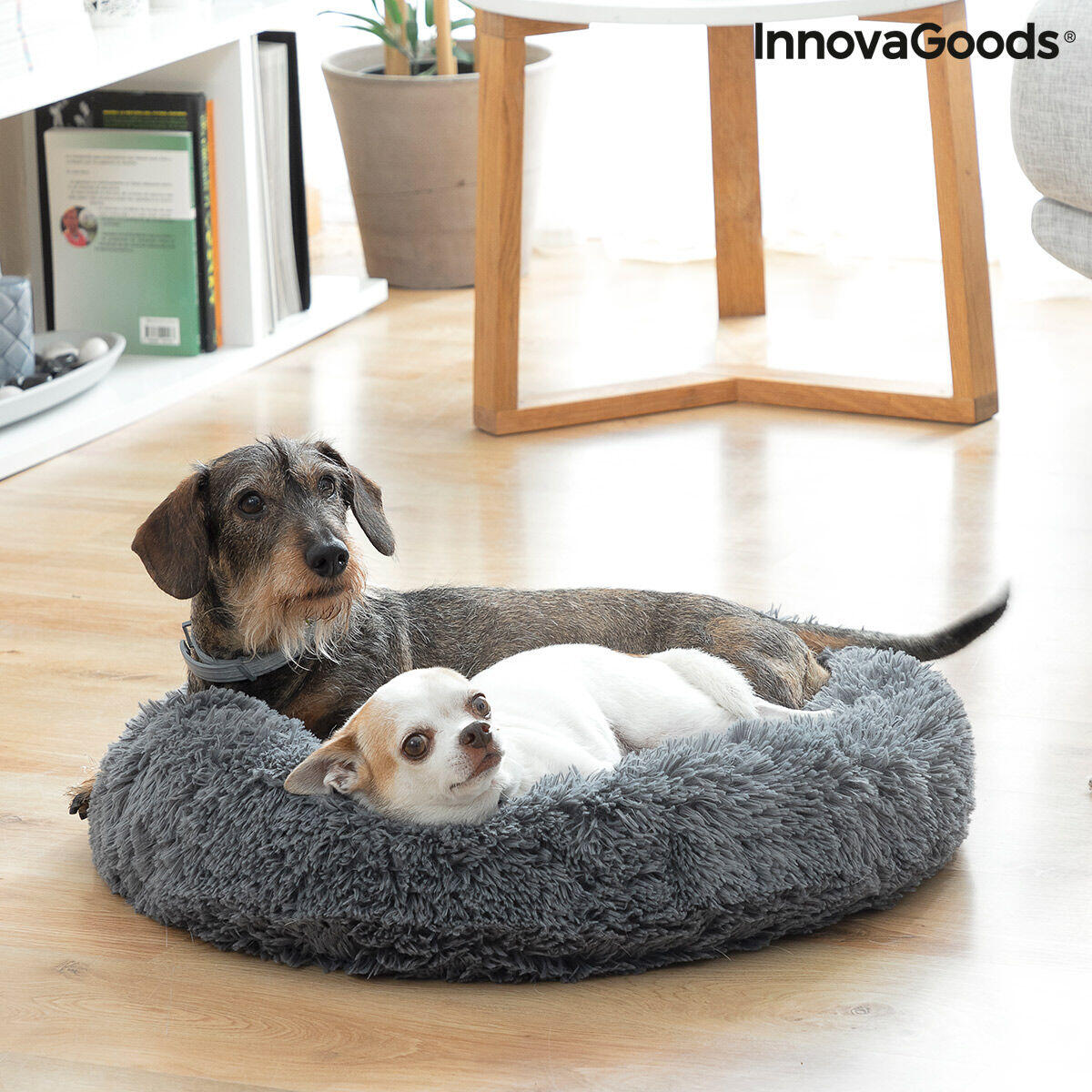 🐾 CAMA ANTIESTRÉS PARA MASCOTAS BEPESS INNOVAGOODS Ø 60 CM