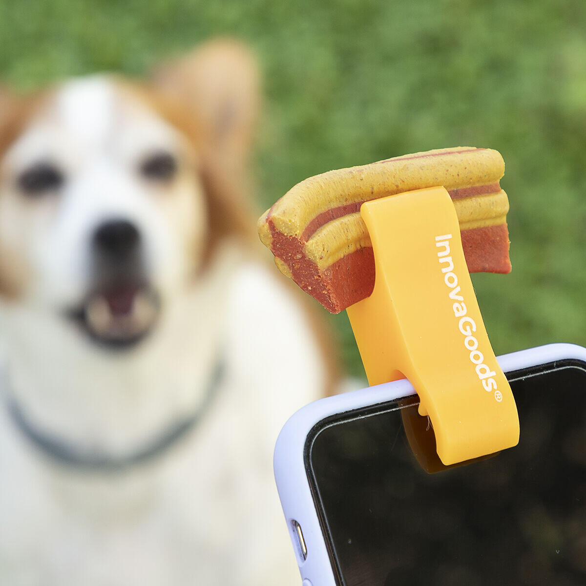 🐾 CLIP DE SELFIES PARA MASCOTAS PEFIE INNOVAGOODS
