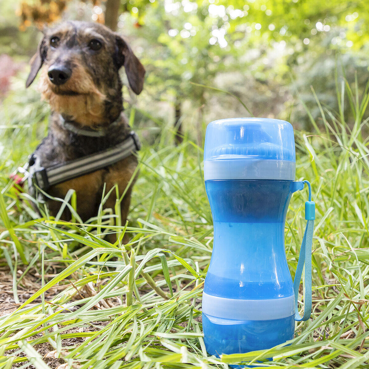 🐾 BOTELLA CON DEPÓSITO DE AGUA Y COMIDA PARA MASCOTAS 2 EN 1 PETTAP INNOVAGOODS