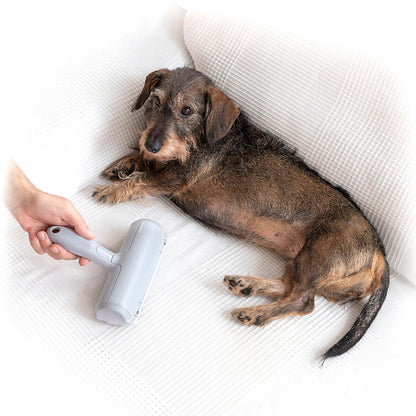 🐾 RODILLO QUITAPELOS DE MASCOTAS RELLAIR INNOVAGOODS
