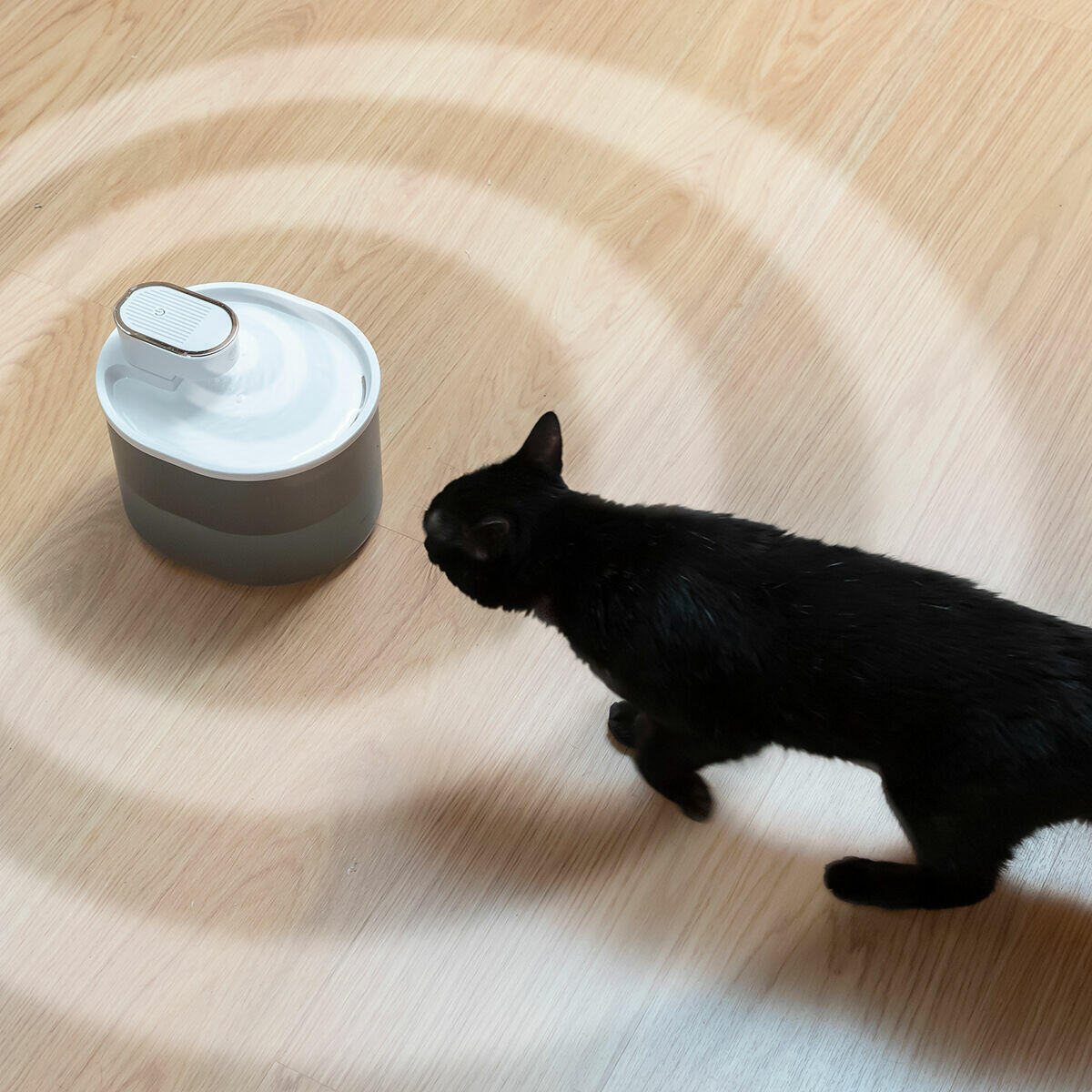 🐱 FUENTE PARA GATOS RECARGABLE CON SENSOR REFOGET INNOVAGOODS