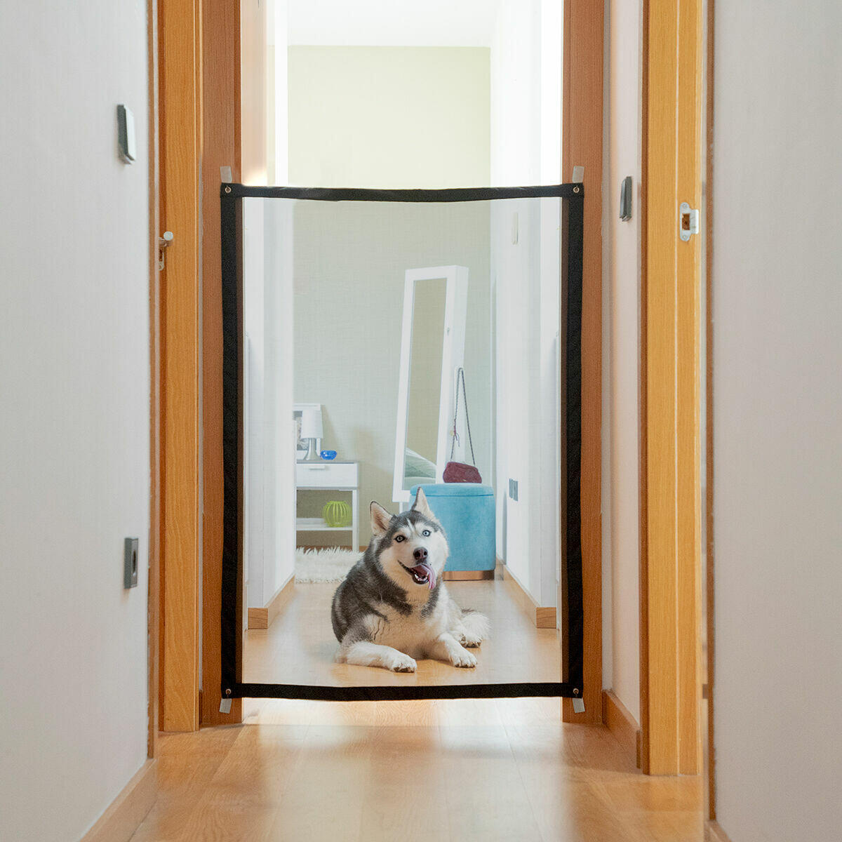 🐾 RED DE SEGURIDAD PARA MASCOTAS PETINU INNOVAGOODS