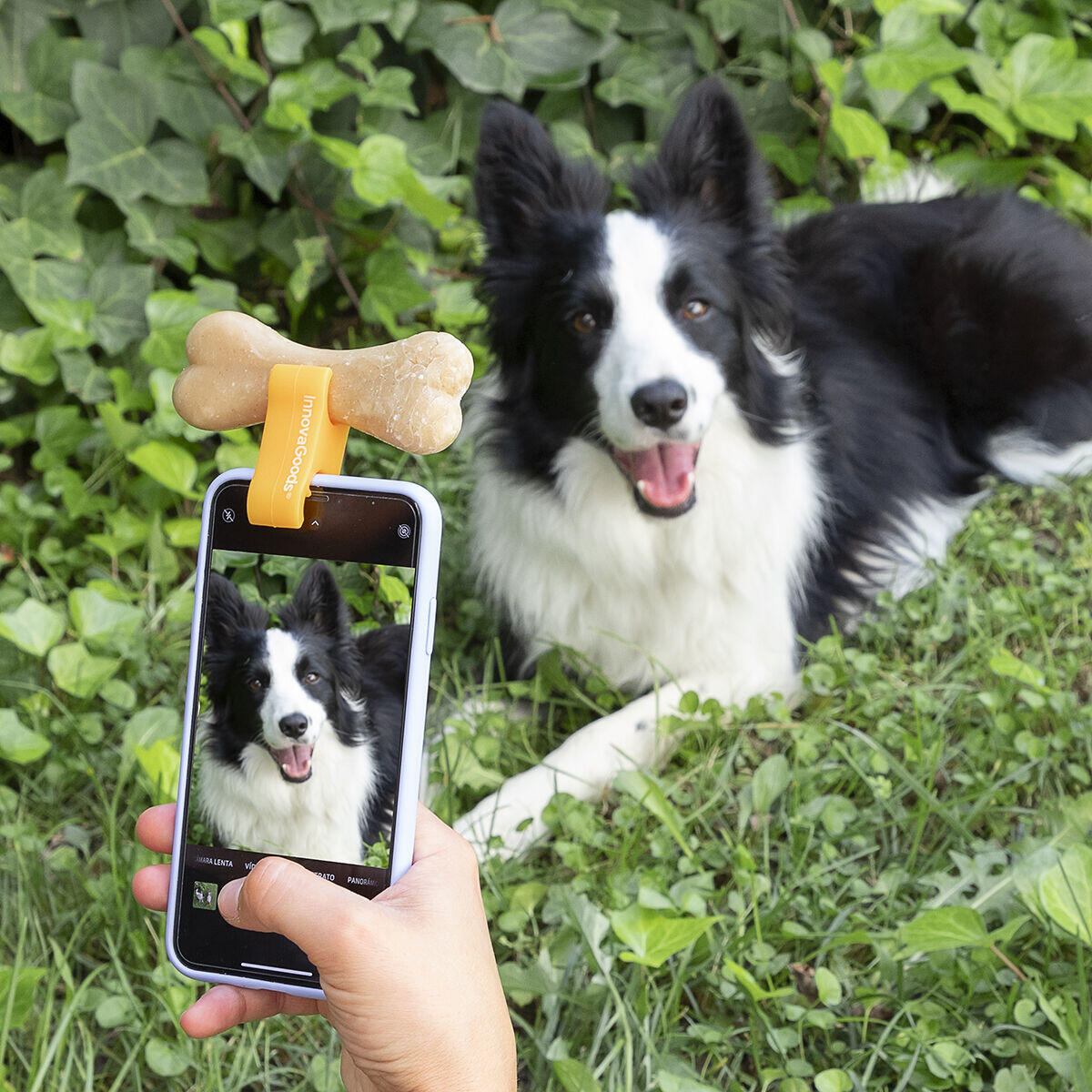 🐾 CLIP DE SELFIES PARA MASCOTAS PEFIE INNOVAGOODS