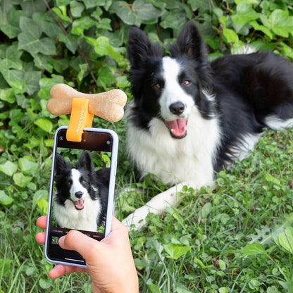 🐾 CLIP DE SELFIES PARA MASCOTAS PEFIE INNOVAGOODS